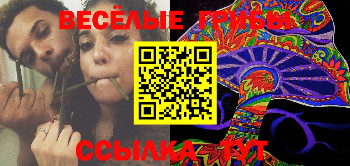 Ишим  Галлюциногенные грибы прущие грибы  Вход с VPN 
